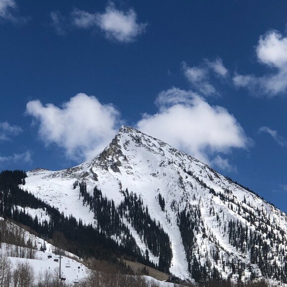 Lance (wrightus58) LIVE - Eclectic Closet LIKE FOR NOTIFICATIONS - Picture 6 of 6